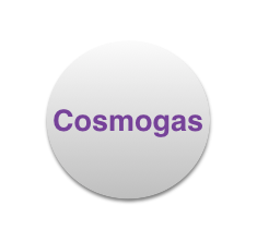 Manutenzioni e Assistenza Caldaie Cosmogas