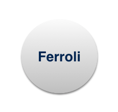 Manutenzioni e Assistenza Caldaie Ferroli