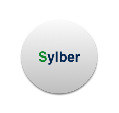 Manutenzioni e Assistenza Caldaie Sylber