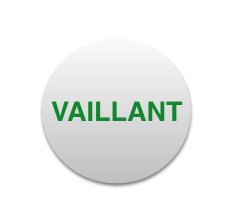 Manutenzioni e Assistenza Caldaie Vaillant